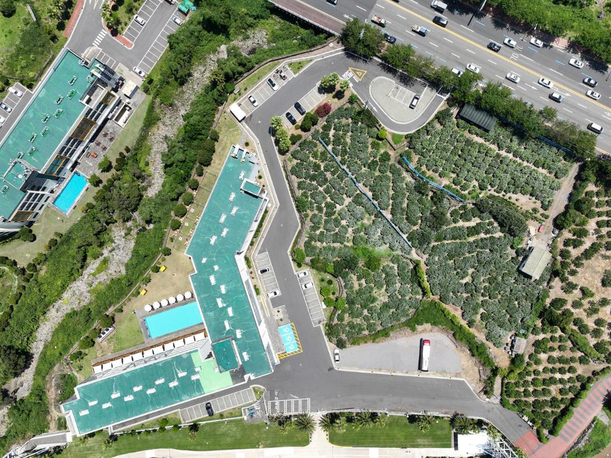 Shin Shin Hotel Jeju City Zewnętrze zdjęcie